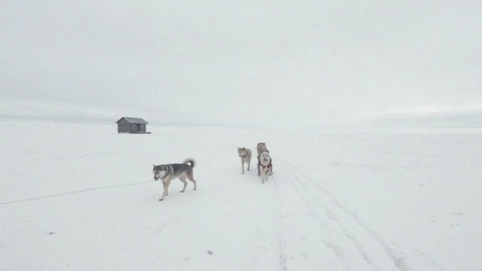 Kto zdobył Biegun Południowy? Historia Amundsena i Scotta