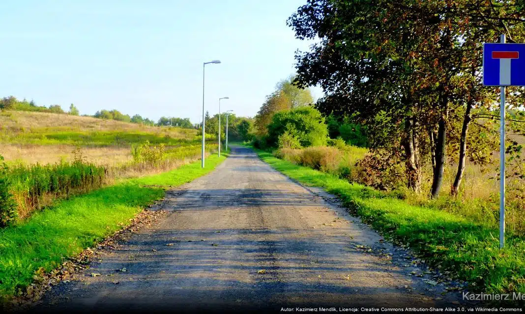 Konsultacje społeczne dotyczące programu Czyste Powietrze