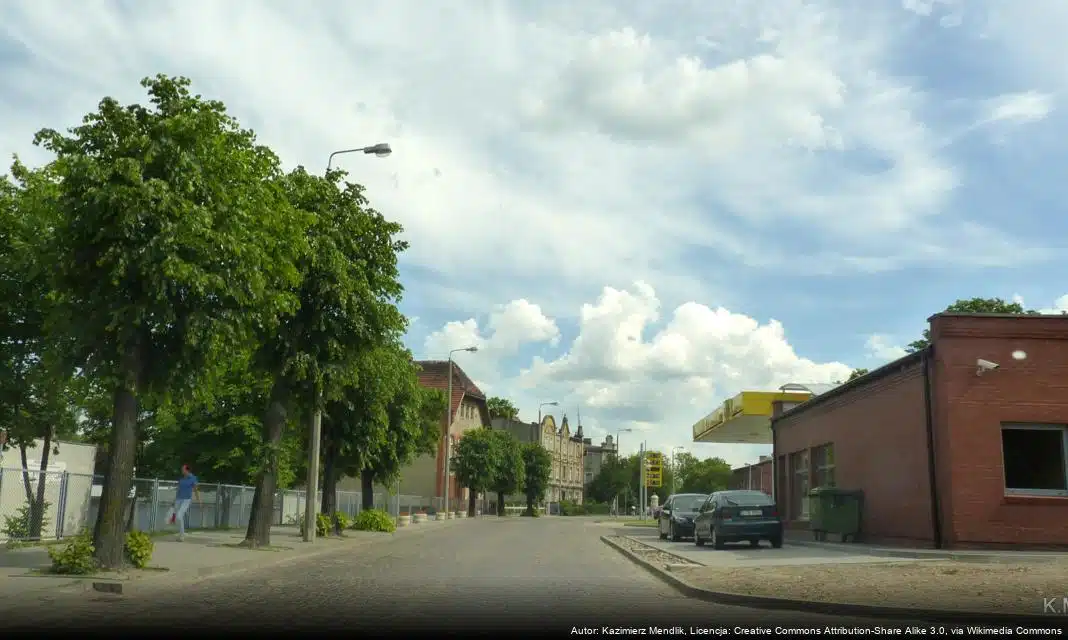 Drugie życie choinek w Świdniku