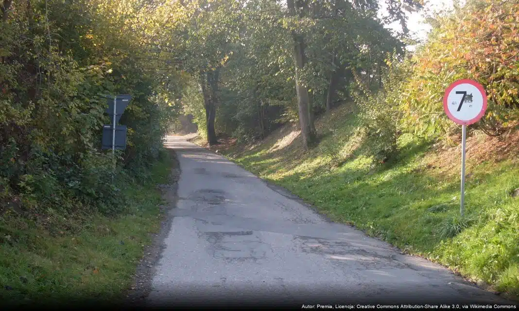 Otwarcie miejskiego lodowiska w Świdniku