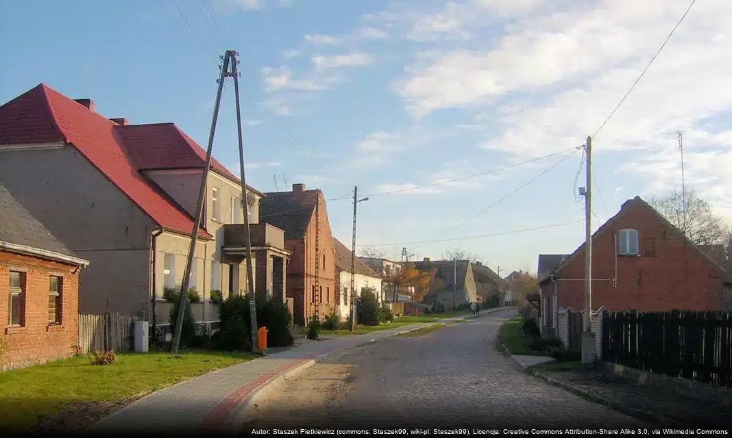 Zaproszenie do współpracy dla organizacji pozarządowych w Świdniku