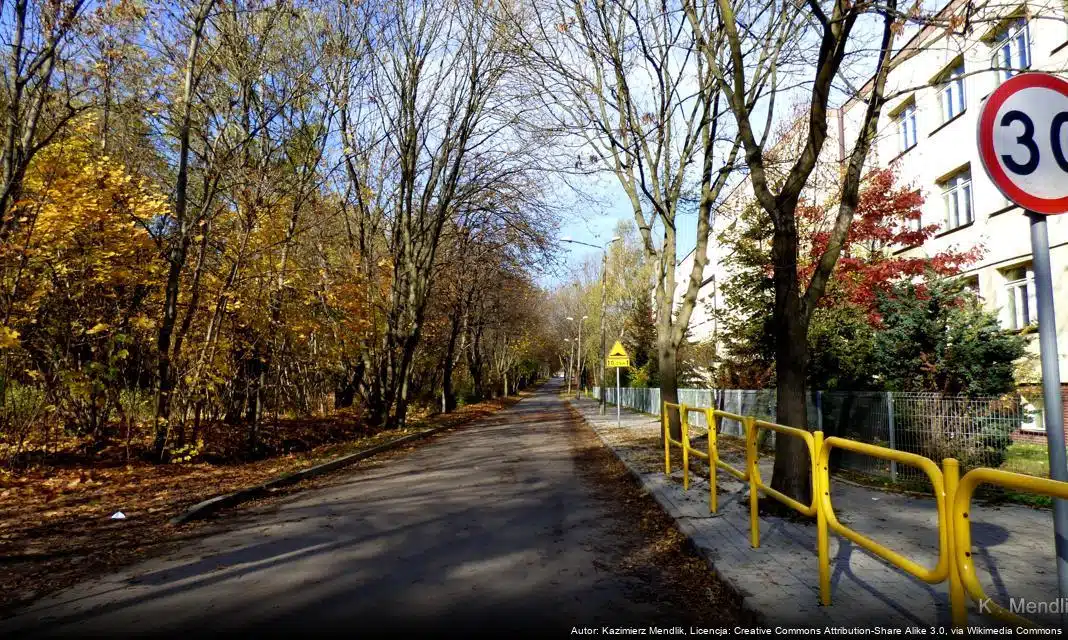 Wstrzymanie przyjmowania nowych wniosków w programie Czyste Powietrze