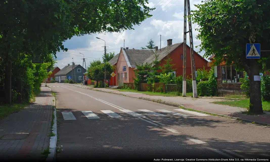 Zimowe Utrzymanie Dróg w Świdniku – Wskazówki i Numery Kontaktowe